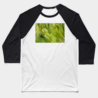 Seagrass Baseball T-Shirt